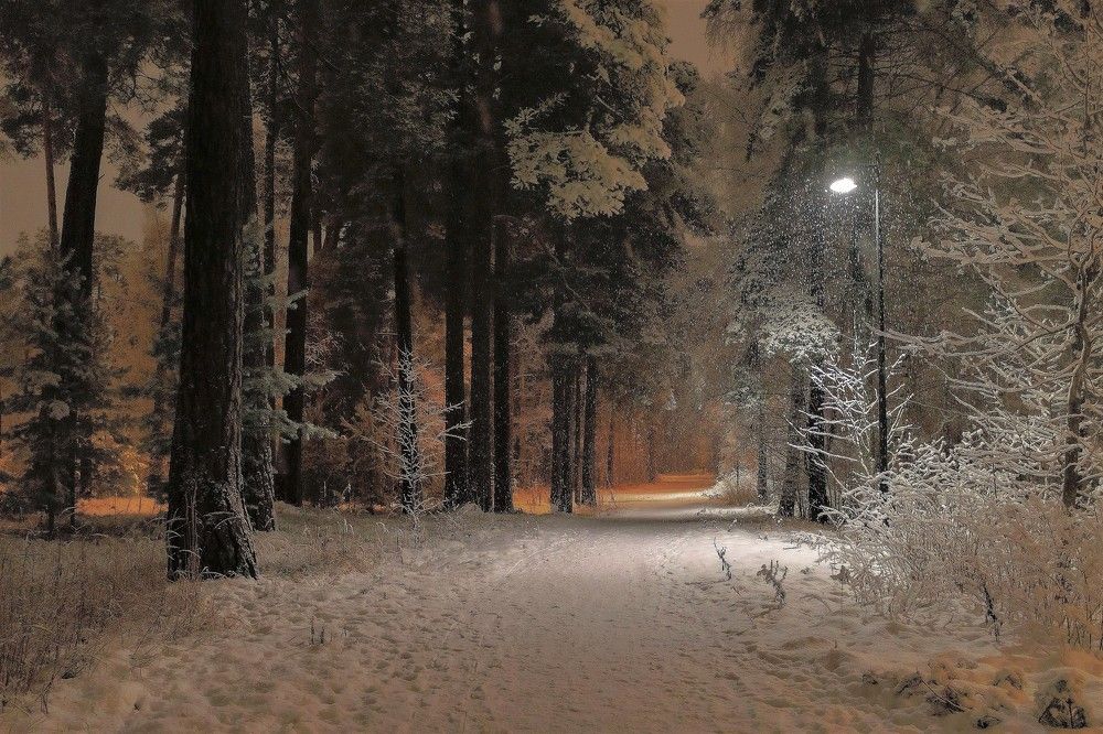 Photograph by Epp Tappel