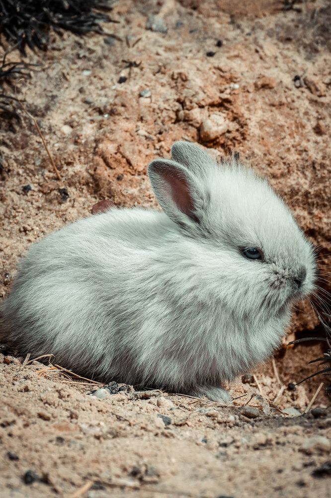 Photograph by Анастасия Гончарова