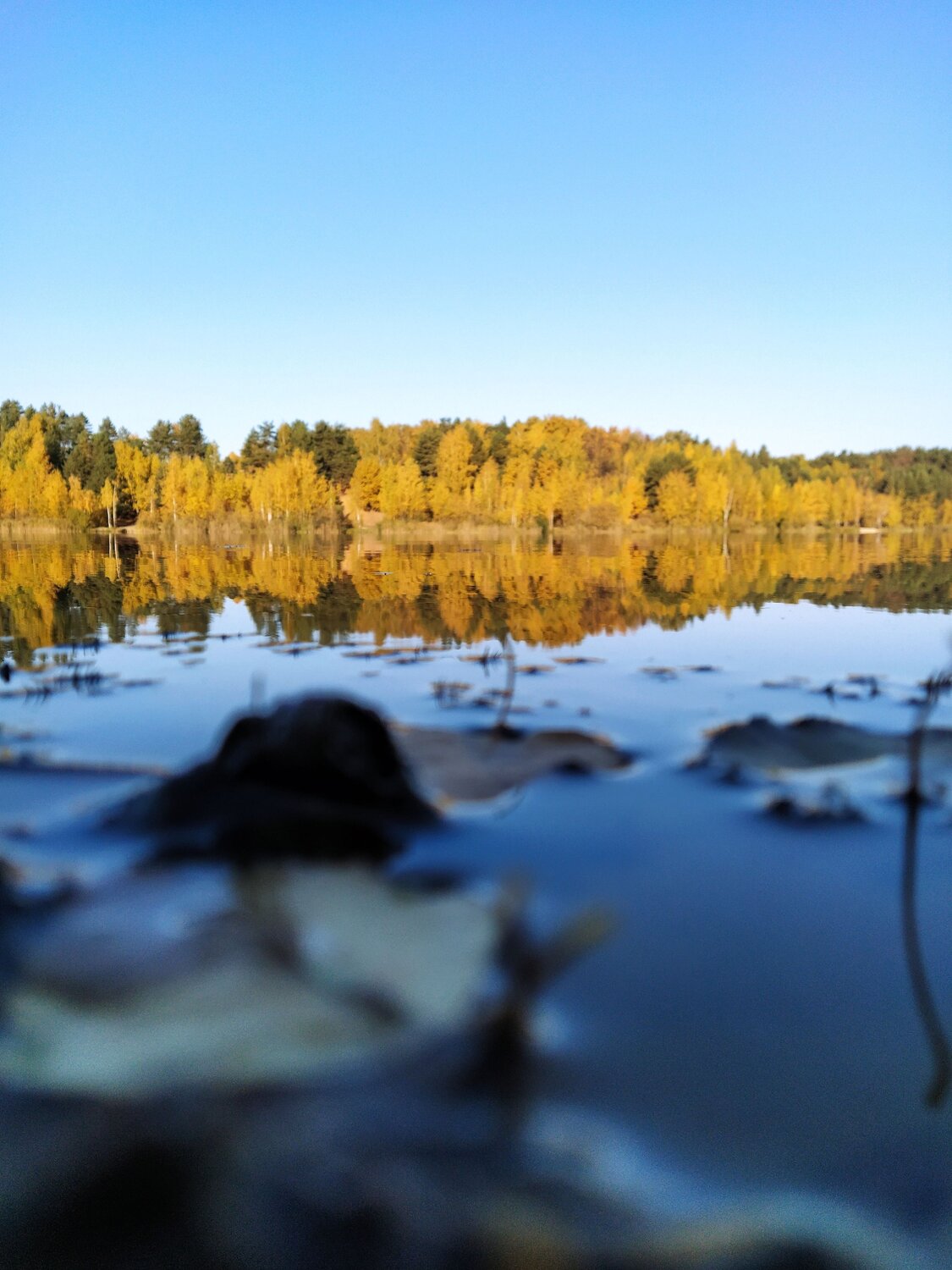 Photo #6970528