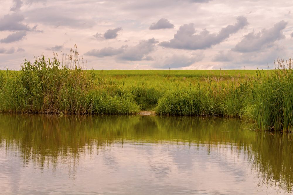 Photograph by Тамара Киреева