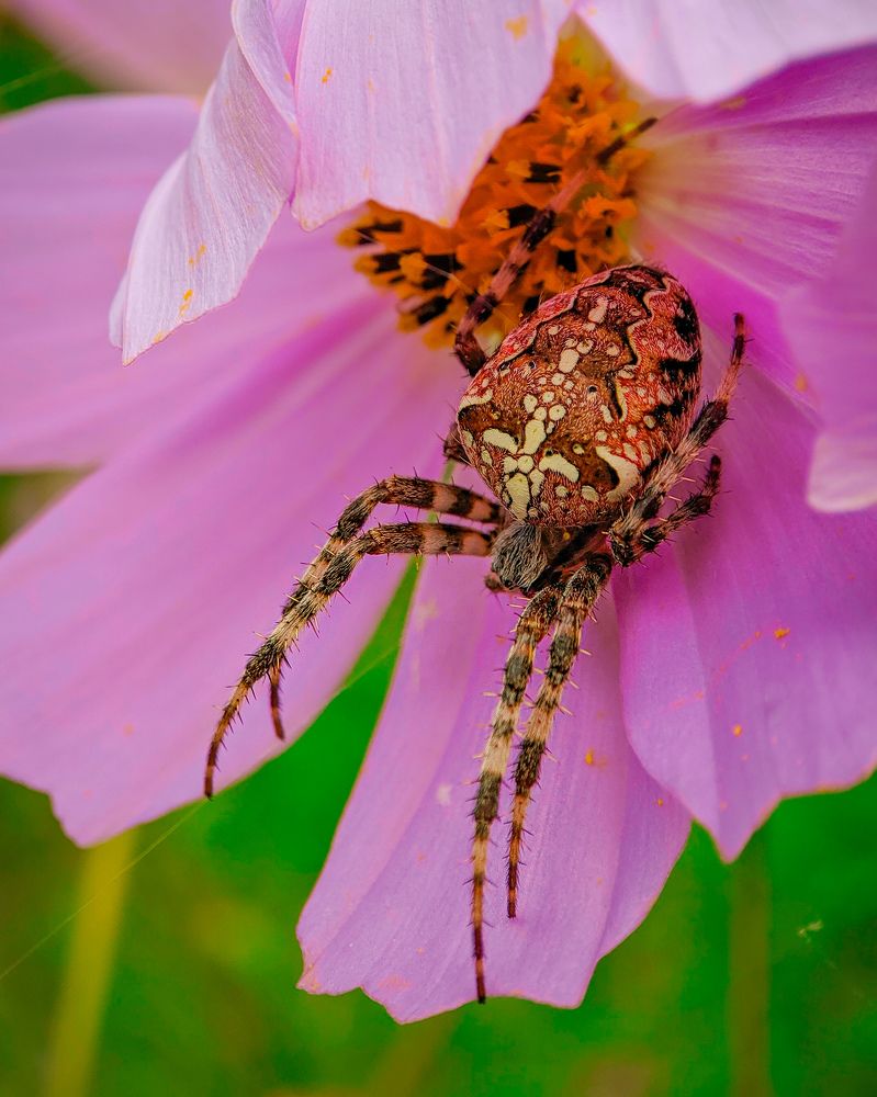 Photograph by Алексей Тарасов