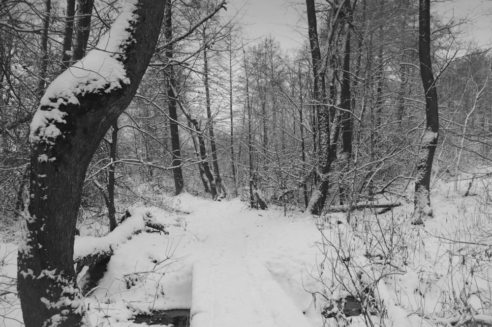 Photograph by Екатерина Колмыченко