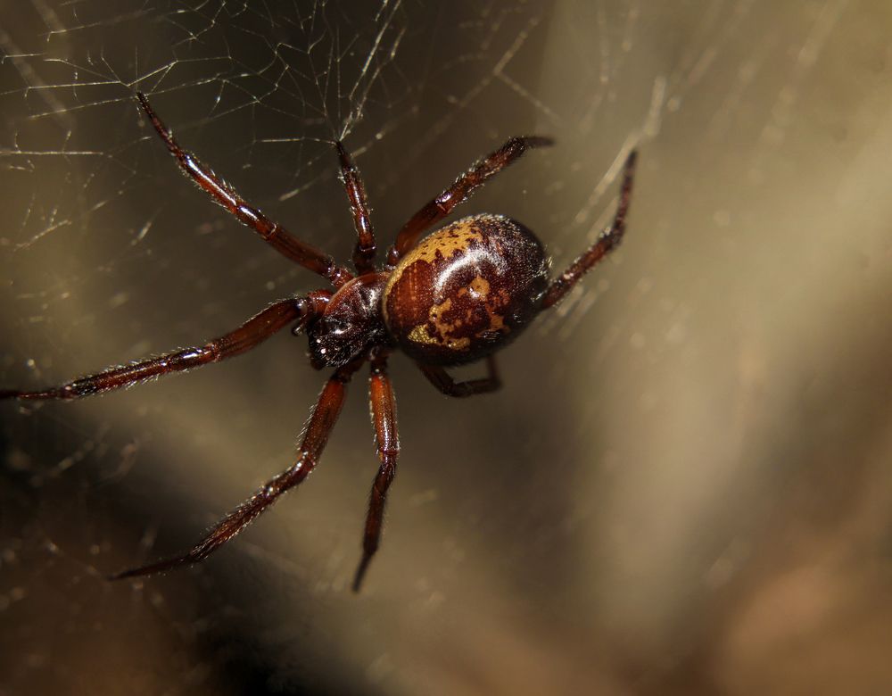 Photograph by Rui Santos