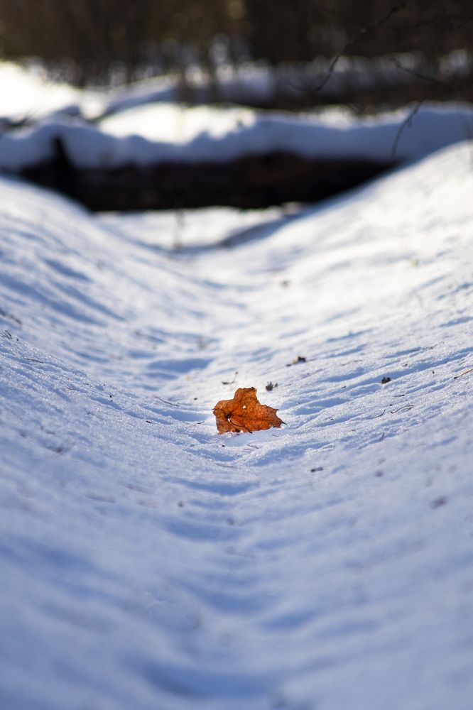 Photograph by Дмитрий Тимин