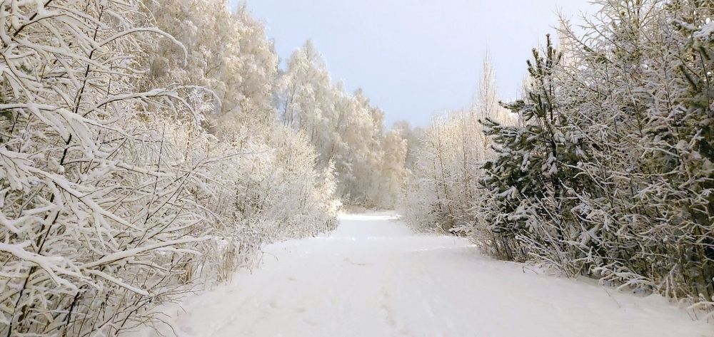 Photograph by Epp Tappel