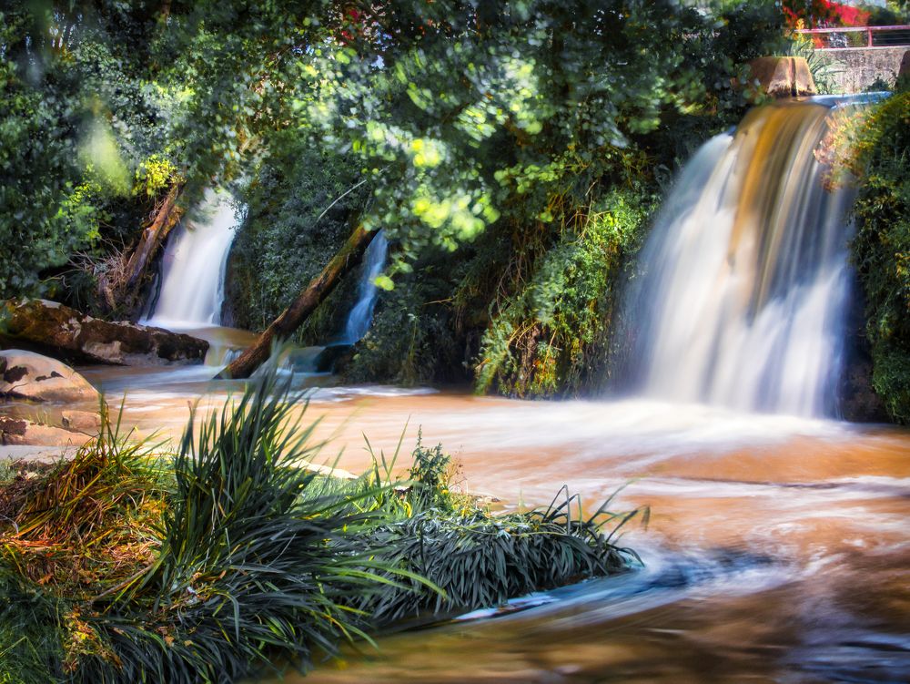 Photograph by Rui Santos