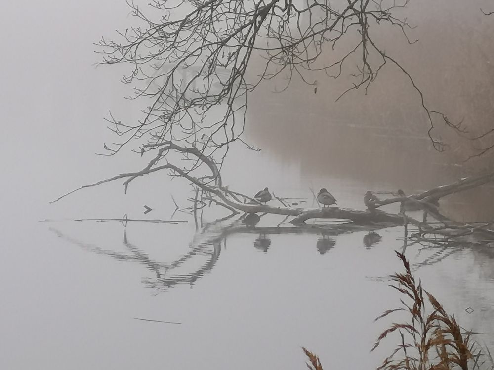 Photograph by Kęstutis Bingelis