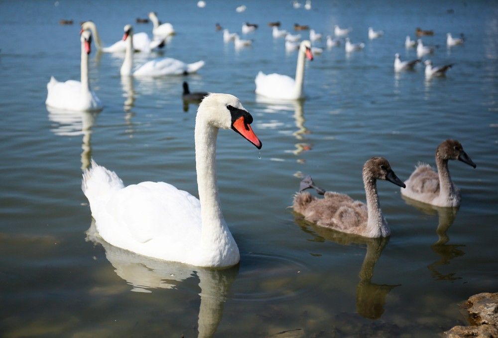 Photograph by Марина Юрченко