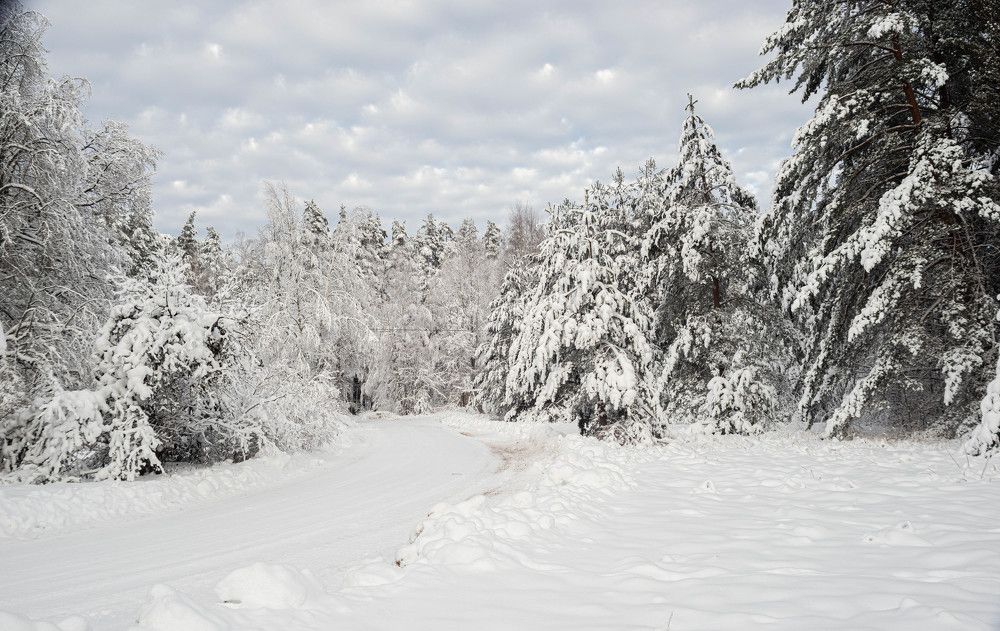 Фотография автора Aлексей Игнатьев