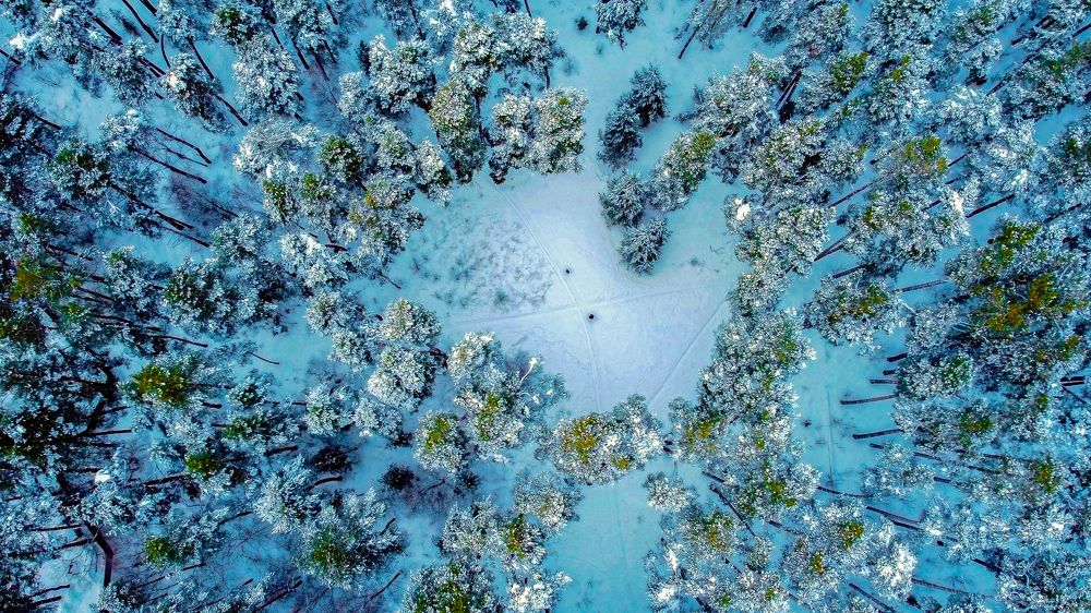 Фотография автора Сергей Сморчков