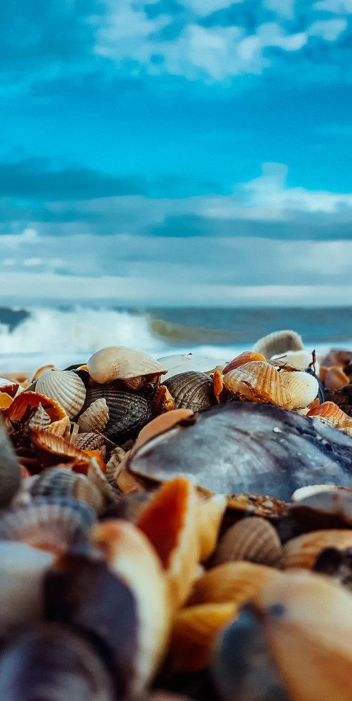 Photograph by Дмитрий Педченко