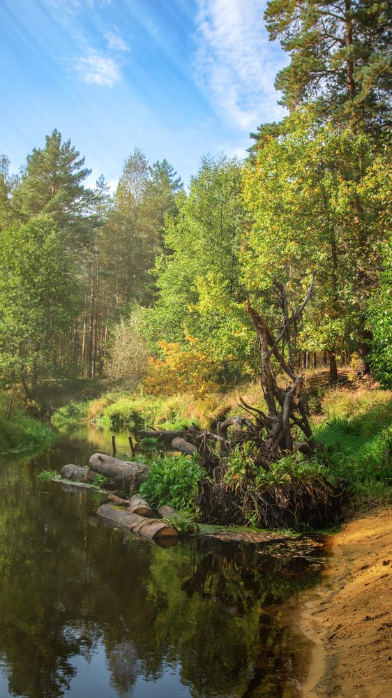 Photograph by Александр Гамалеев