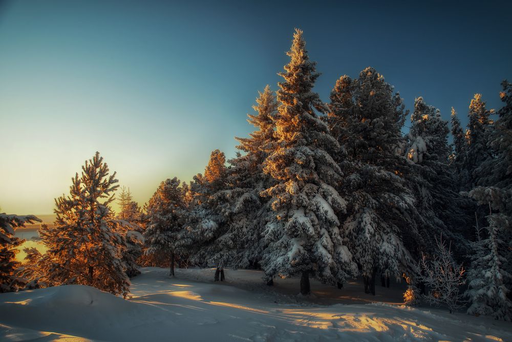 Photograph by Ксения Казырицкая