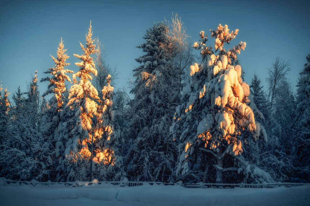 Photograph by Ксения Казырицкая