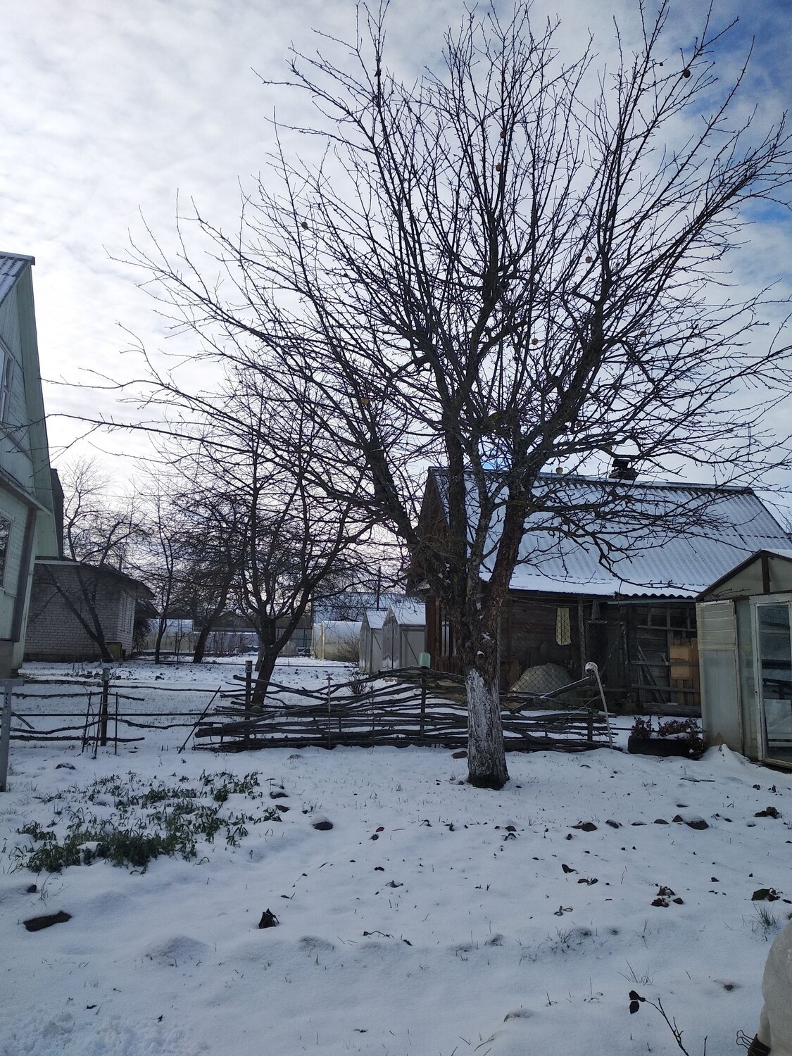 Photo #6970875