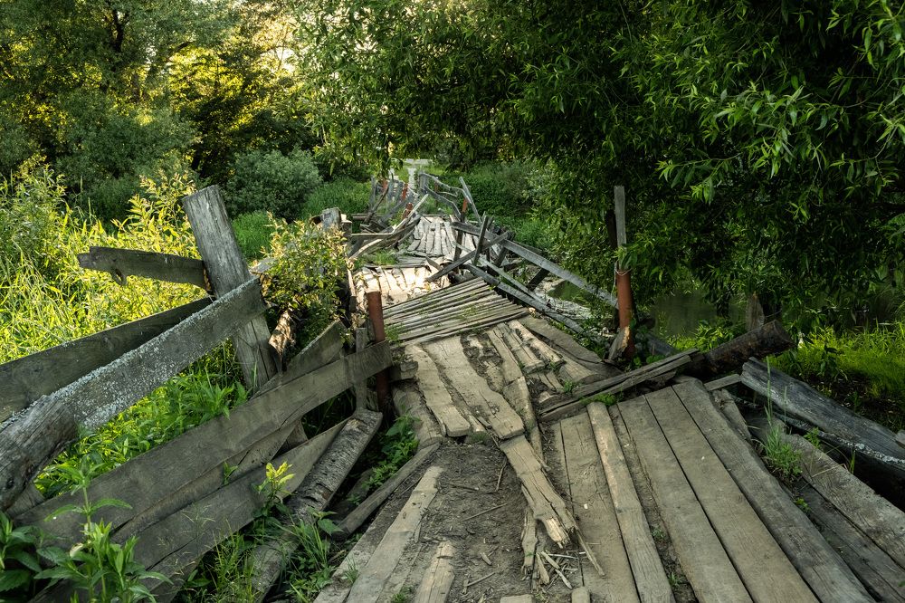 Photograph by Лукина Юлия