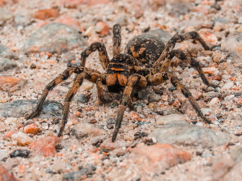 Photograph by Юлия Ключик