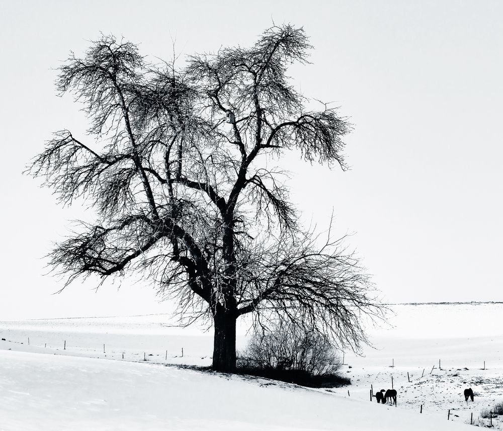 Photograph by Gabriella Szabo