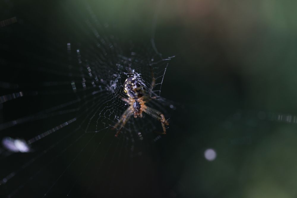 Photograph by Глеб Мацак