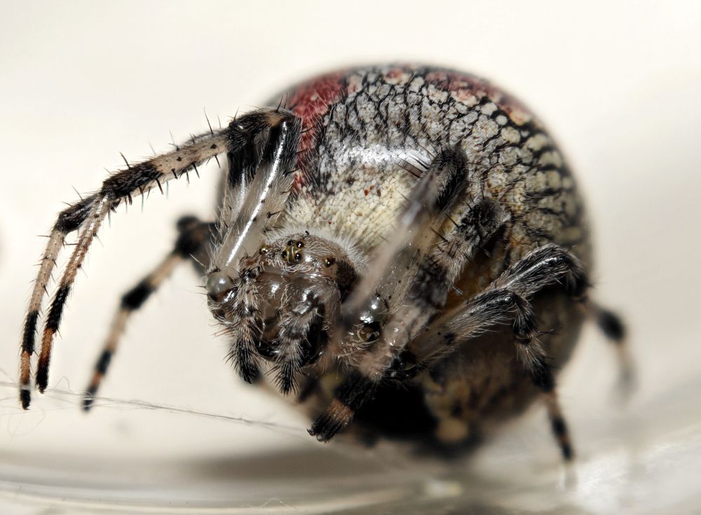 Photograph by Дмитрий Кузнецов