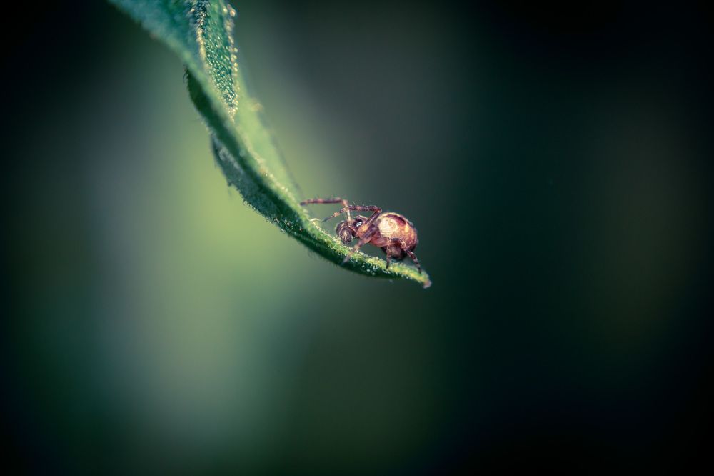 Photograph by Дмитрий Кузнецов