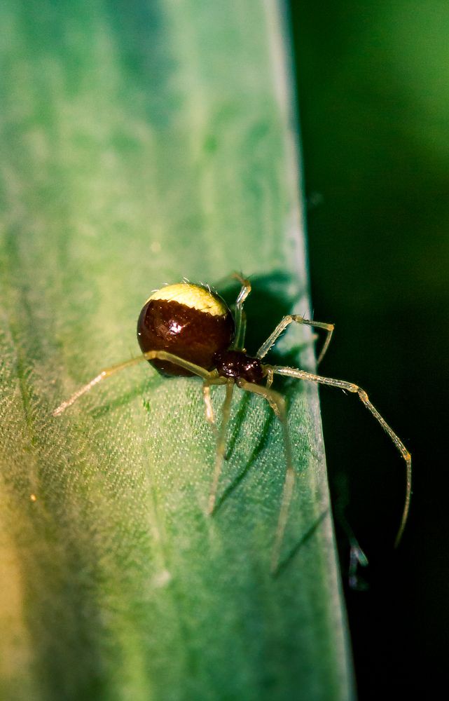 Photograph by Дмитрий Кузнецов