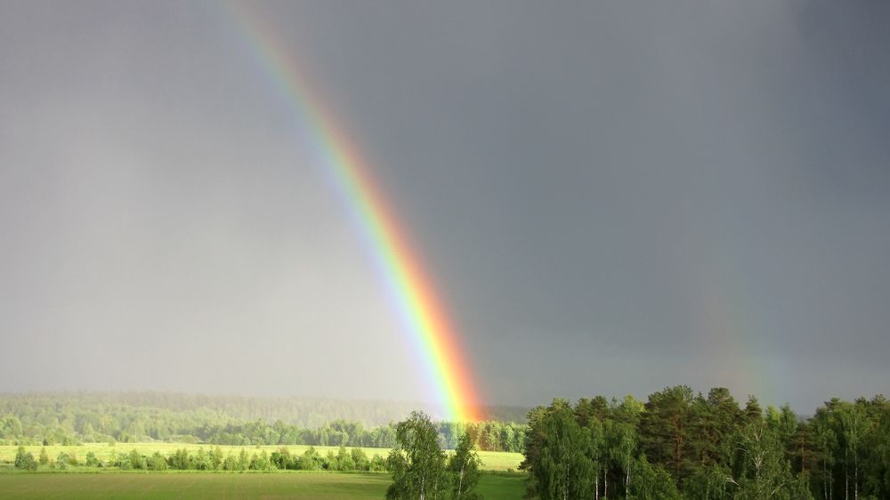 Rainbow over forest Panoramic view Cloudy landscape
