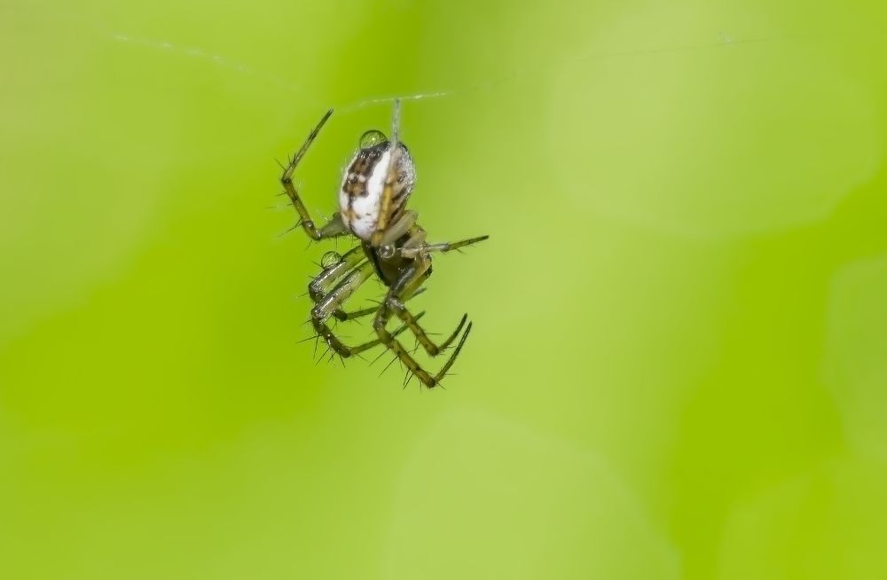 Photograph by Олег Китаев