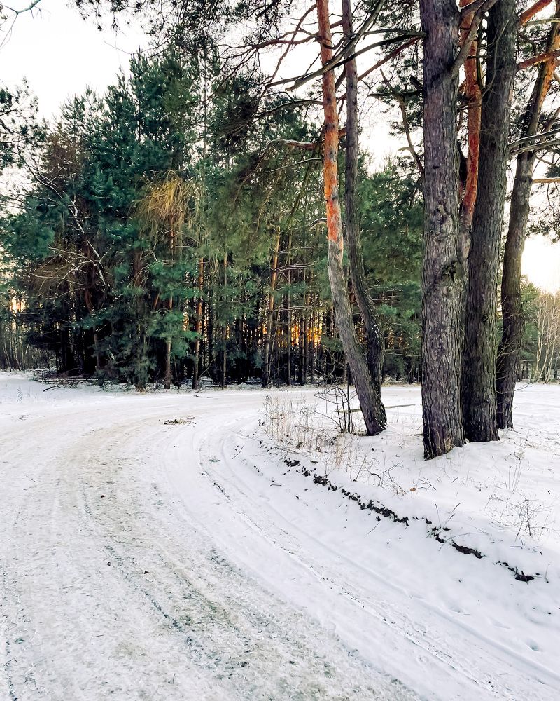 Photograph by Марина Тверитнева