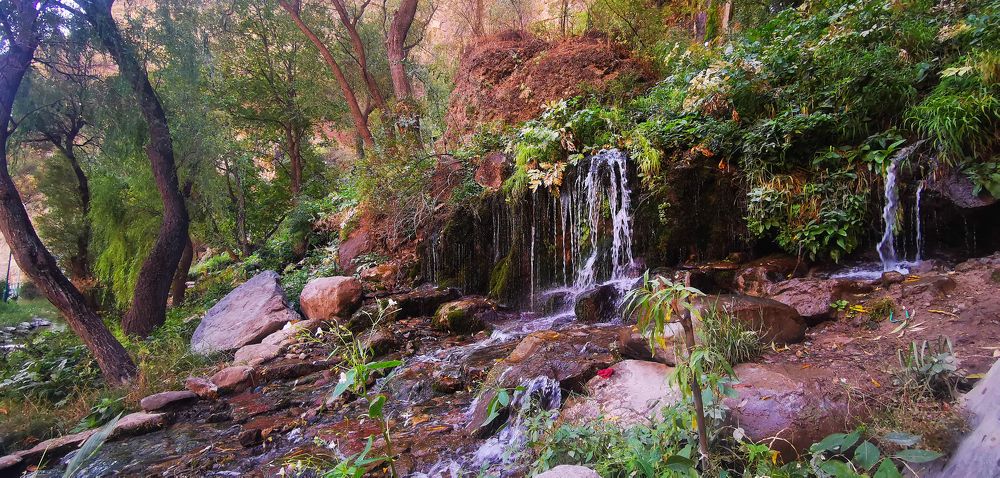 Photograph by Yuriy  Korsuntsev