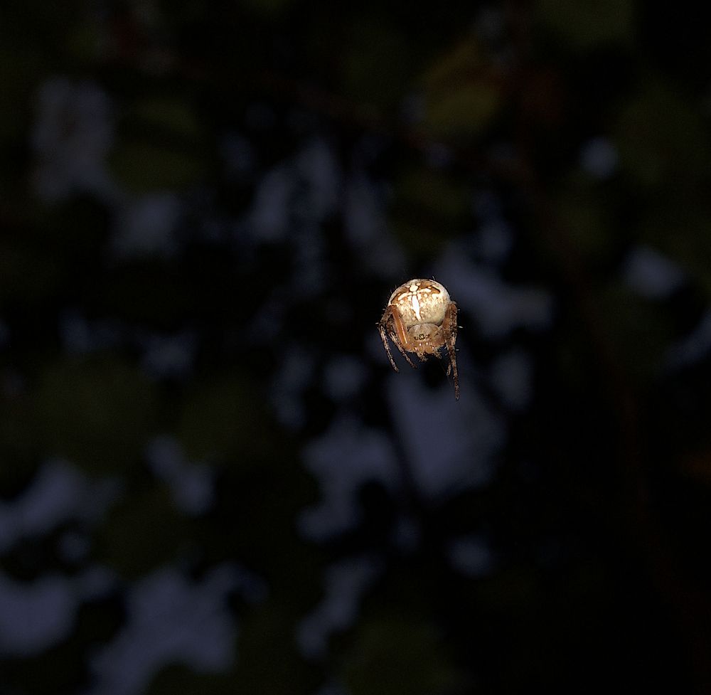 Photograph by Олег Китаев