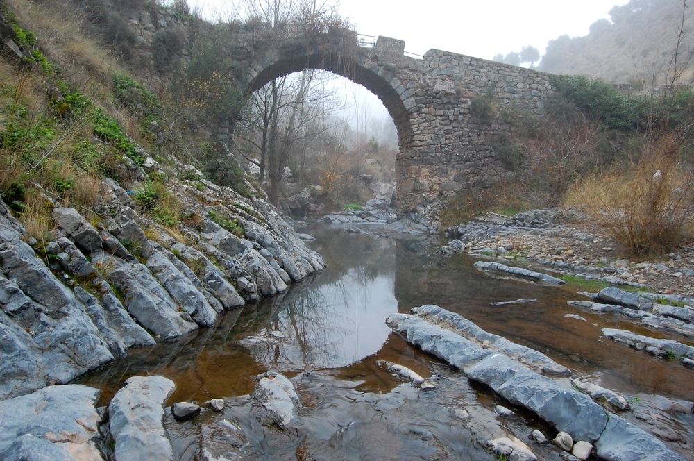 Photograph by Ольга Хомякова