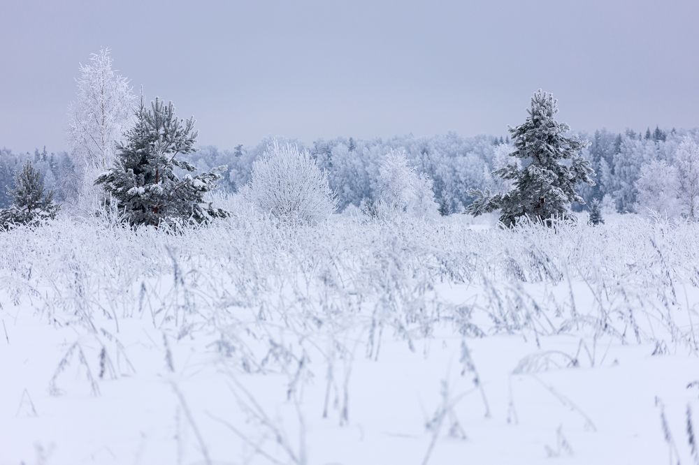 Photograph by Антон Ляшенко