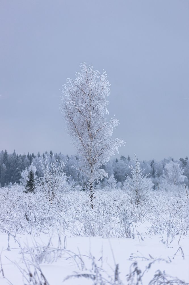 Photograph by Антон Ляшенко