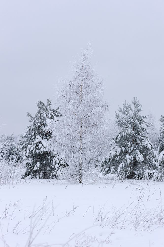 Photograph by Антон Ляшенко