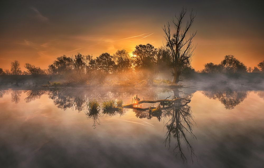 Autumn morning in lowlands