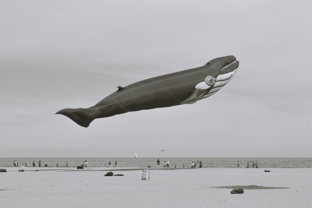 Photograph by Andrey Khodakov