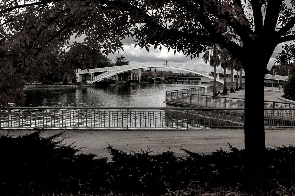 Photograph by Ольга Хомякова