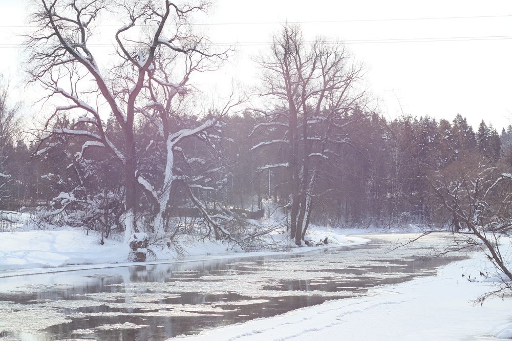 Photograph by ILYA KOREYSHA