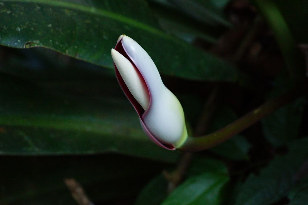 Photograph by Ирина