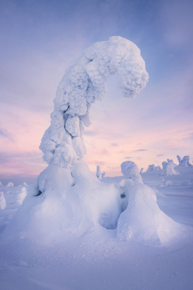 Фотография автора Oleg Rest