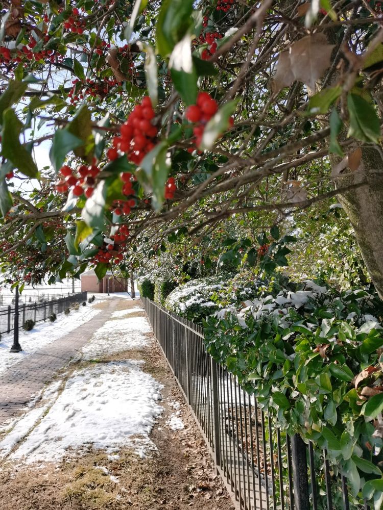 Photograph by Виктория Федосеенко