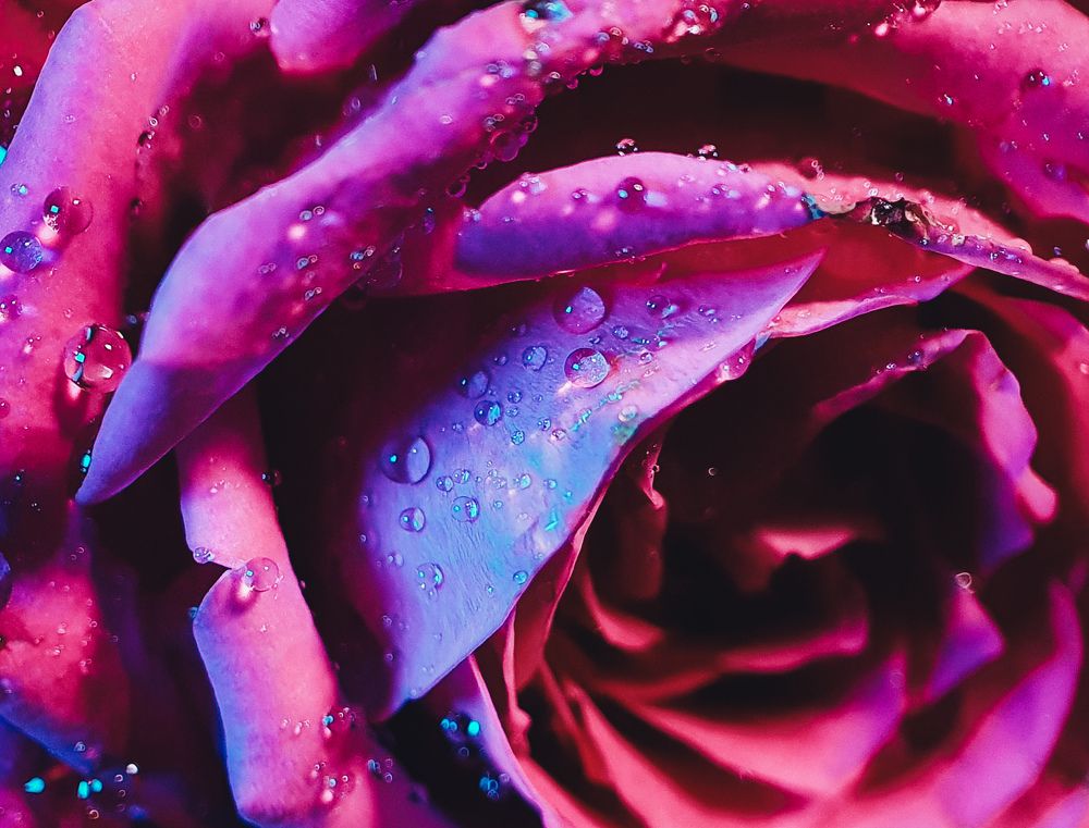 Photograph by Константин