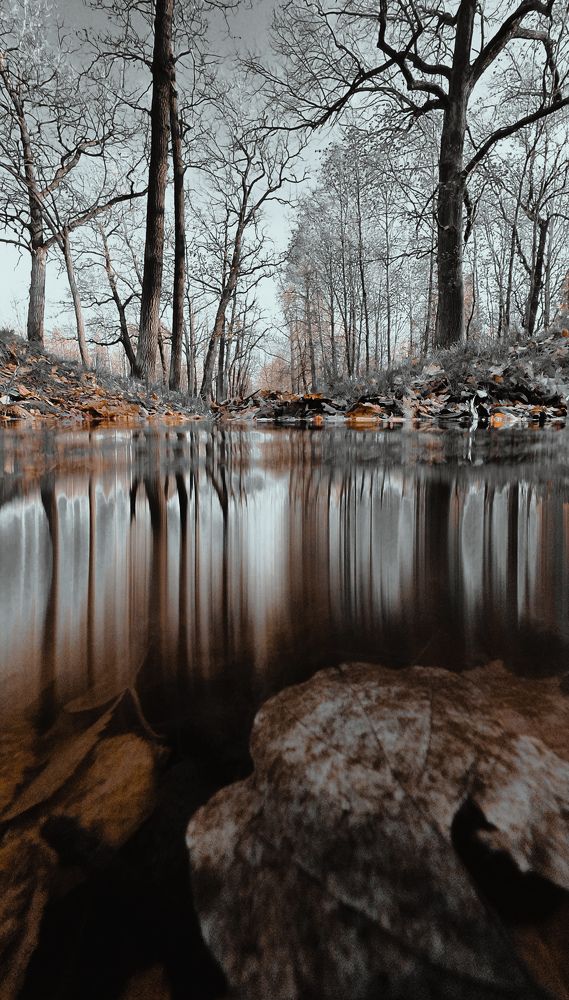 Photograph by Константин