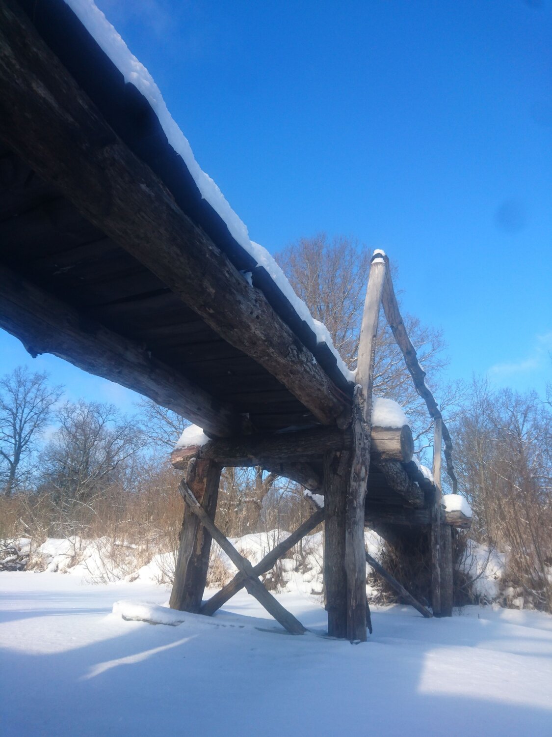 Photo #6971543
