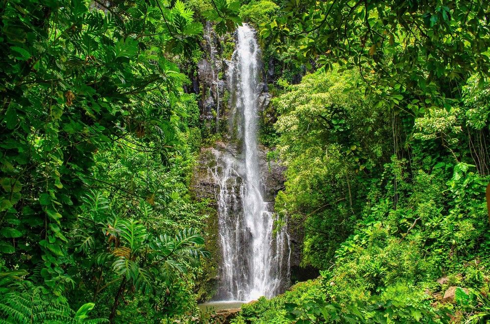 Photograph by Victoria Krasyuk