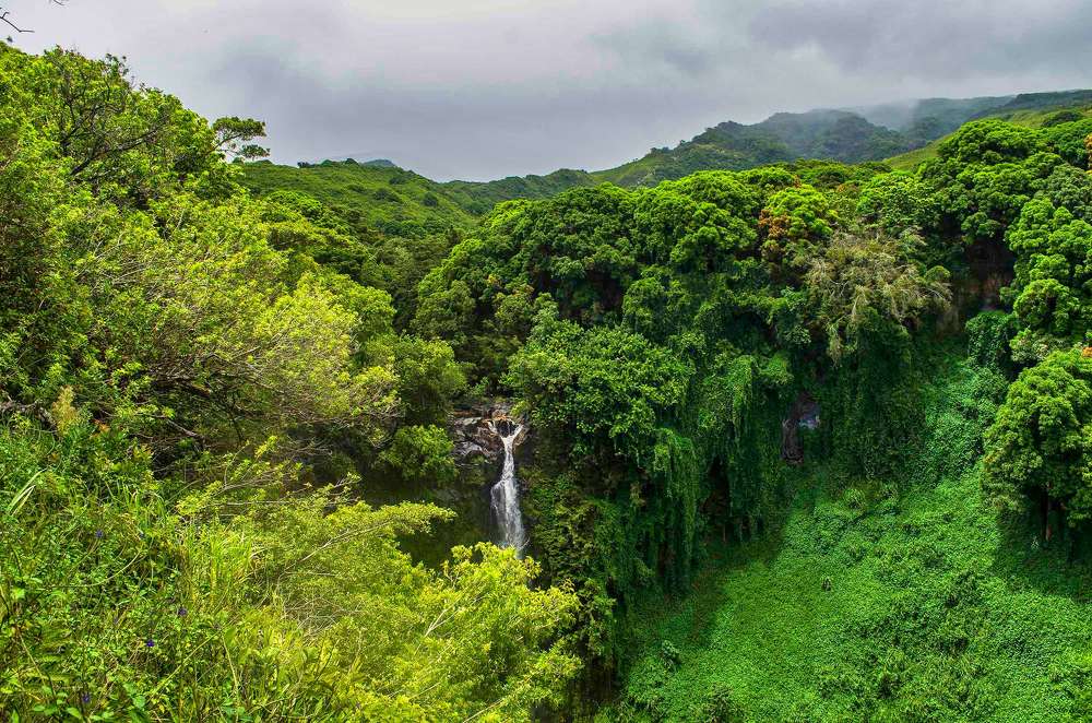 Photograph by Victoria Krasyuk