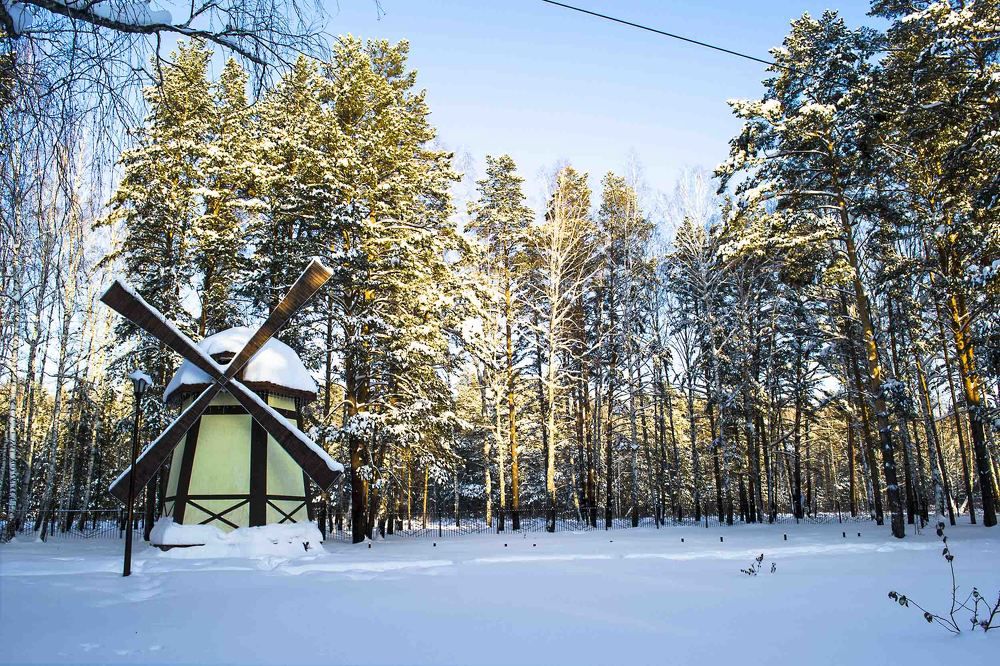 Photograph by Victoria Krasyuk