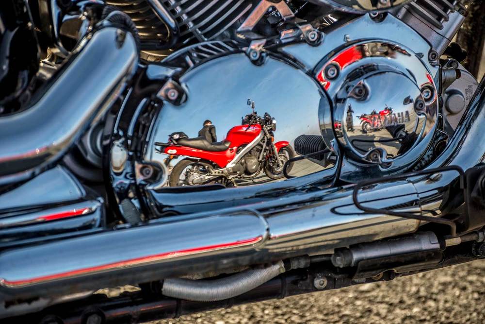 Photograph by Владимир Зубов