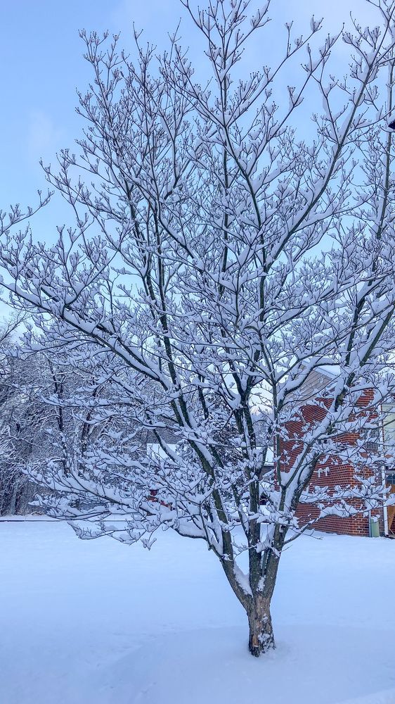 Photograph by Gargee Chowdhury